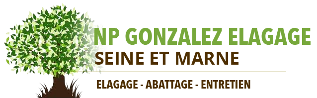 Gonzalez élagage